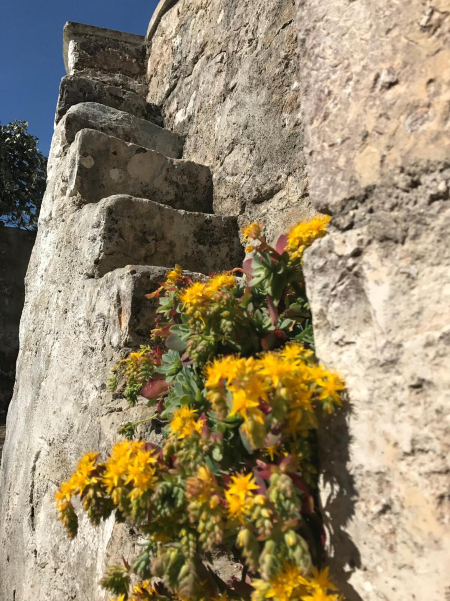 Agritrulli ξενώνας Ostuni Εξωτερικό φωτογραφία